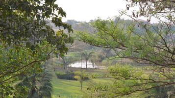 Un paisaje exuberante y verde con una masa de agua, árboles y una zona cubierta de hierba.
