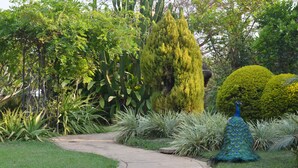 Um caminho de jardim com uma estátua de pavão.