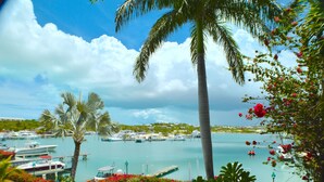 A marina with boats docked, palm trees, and a clear sky.