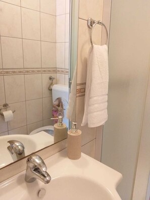 Shower, hair dryer