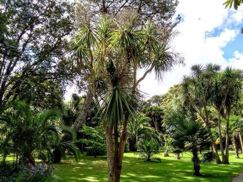 Treventon Guest House 