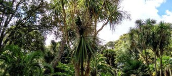 Treventon Guest House