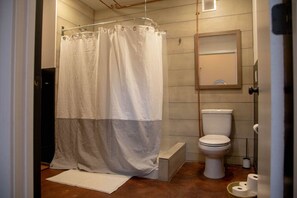 Shower, hair dryer