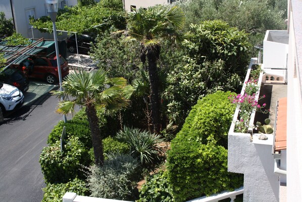 A rooftop garden with various plants and a car parked nearby.