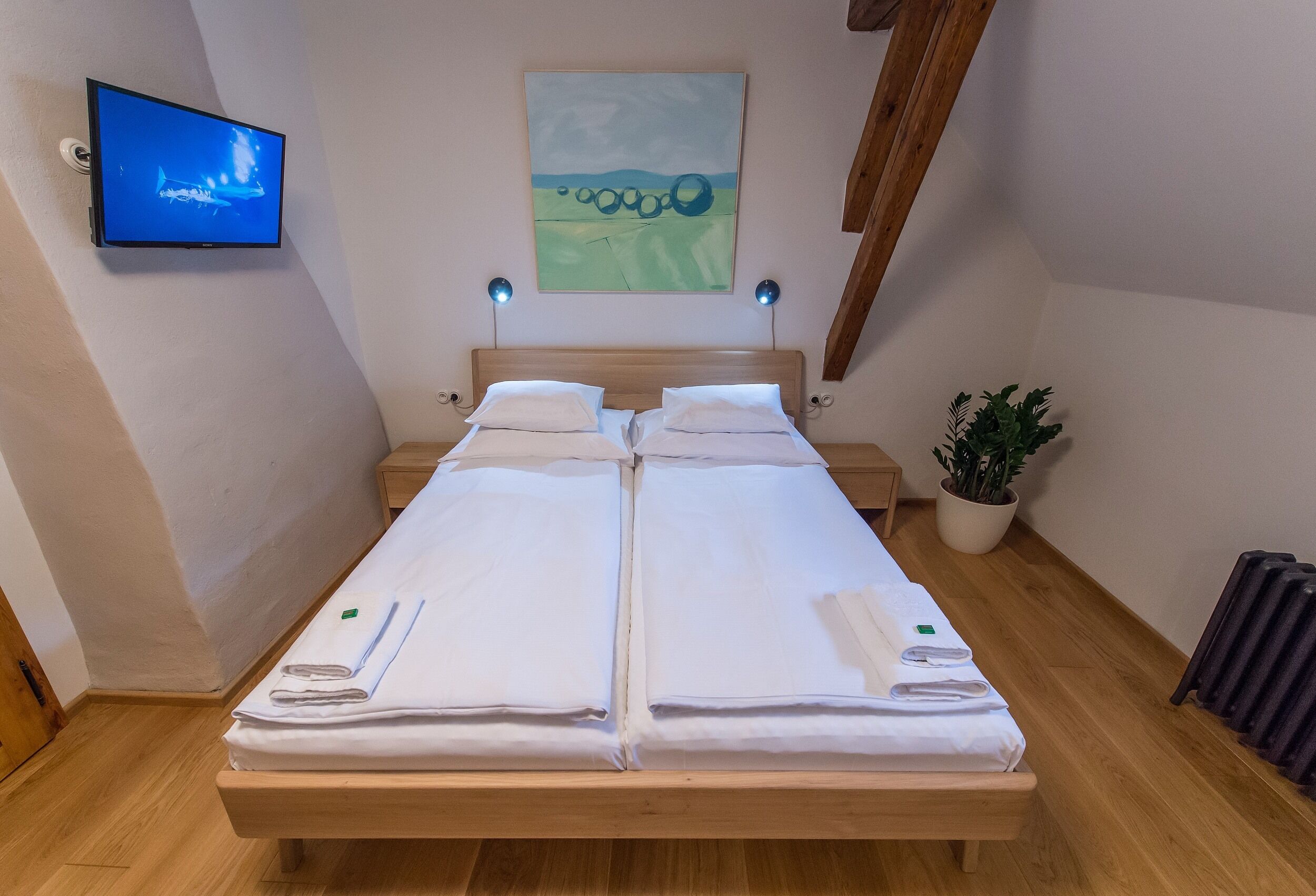A double bed with white linens, a mounted TV, a painting, and a potted plant in a hotel room.