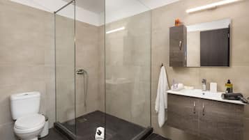 Shower, free toiletries, hair dryer, towels