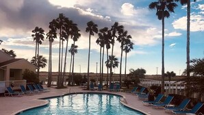 Una piscina con sillones de descanso y palmeras.