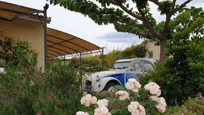 A vintage car parked in a garden with blooming roses and various shrubs. - Gîtes du Combeau (Saint-Maurice-d'Ibie)