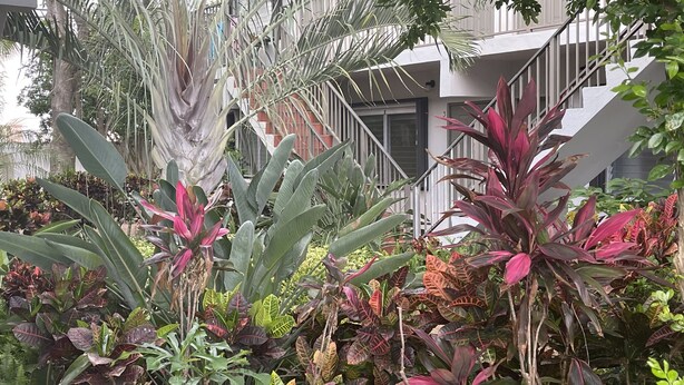 A modern building with a staircase and lush tropical plants in the foreground. - Petrina Studio Apartment (Pompano Beach)