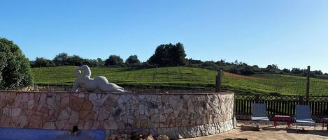 House, 2 Bedrooms, Private Pool | View from room