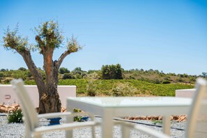 Apartment, Vineyard View | Balcony view - Quinta dos Vales (Lagoa)