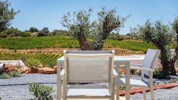 Apartament, vistes a les vinyes | Terrassa o pati