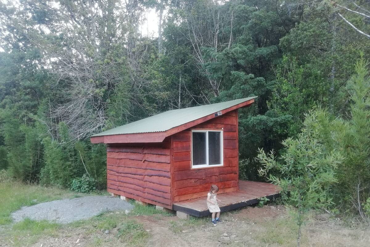 Een klein houten huisje met een metalen dak, omgeven door dicht bos.