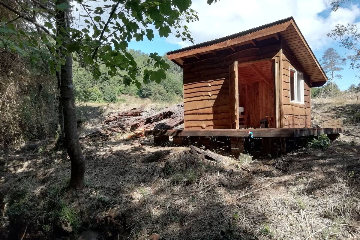 Een houten chalet met een veranda, omringd door bomen en een bebost gebied.
