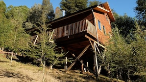 Une cabane en bois dotée d’un balcon, entourée d’arbres.