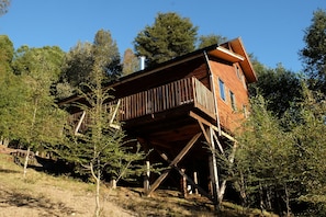 Perhebungalow (Chucao) | Yksilöllisesti sisustettu, yksilöllisesti kalustettu