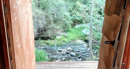 Entre Pampa y Bosque