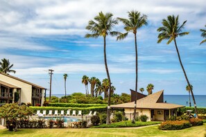 A resort with a pool, palm trees, and a view of the ocean.
