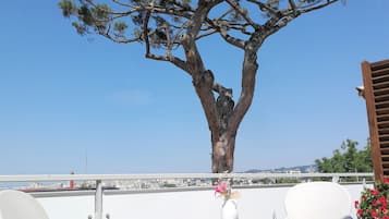 Quarto triplo luxo | Terraço/pátio