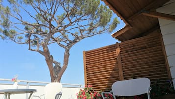 Dobbeltrom – comfort | Terrasse/patio
