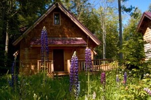 บริเวณภายนอก