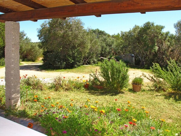 A covered outdoor area with a concrete pillar, a dirt path, and various flowering plants.