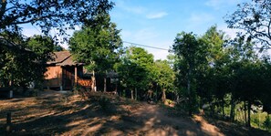 Garden view - Sea View Beach Bungalows (Kyauktwin)