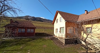 Sadyba U Vasylya