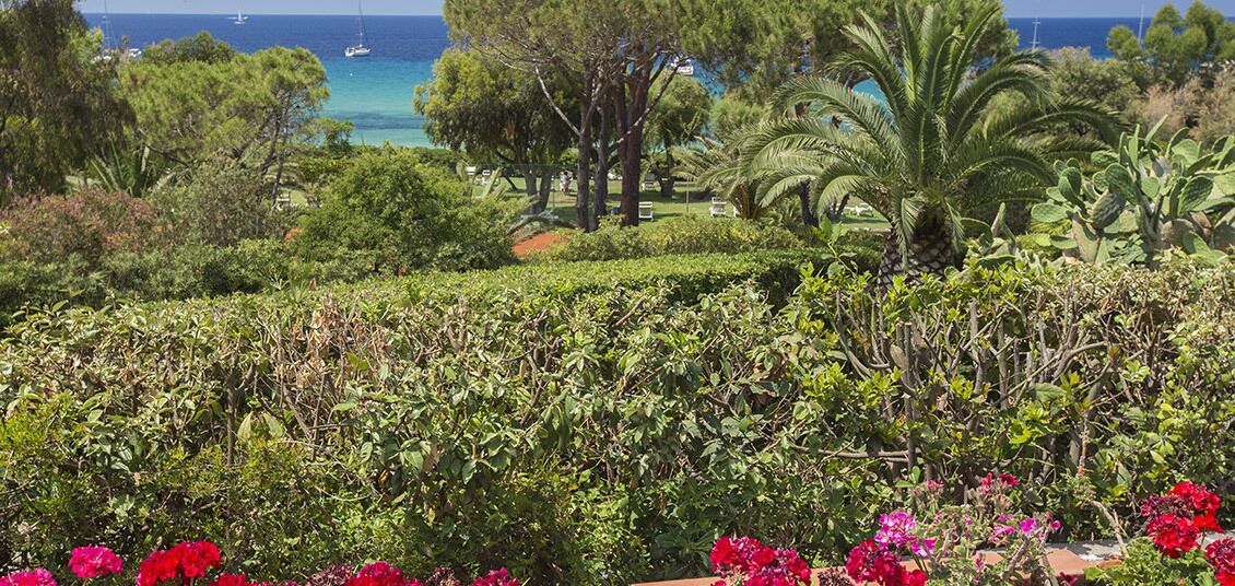 Área da propriedade