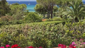 Um jardim exuberante com diversas plantas e flores, uma palmeira e vista para o mar com barcos ao fundo.