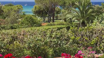 Área da propriedade