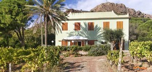 Exterior - Villa Medina (Porto Azzurro)