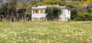 Exterior - Villa Medina (Porto Azzurro)