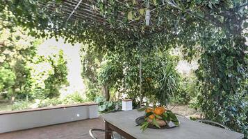 Apartment, 2 Bedrooms, Patio | Terrace/patio
