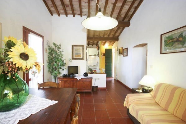 Apartment, 2 Schlafzimmer, Terrasse | Wohnbereich | Fernseher