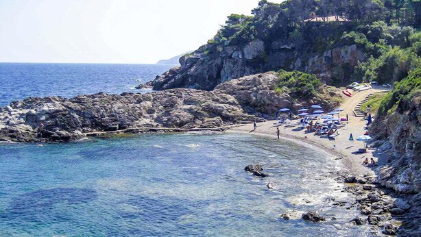 Unclassified image, 1 of 10, button - Capo d’Arco (Rio)