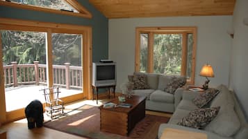 Comfort Cabin | Living area | 38-inch LCD TV with satellite channels, TV