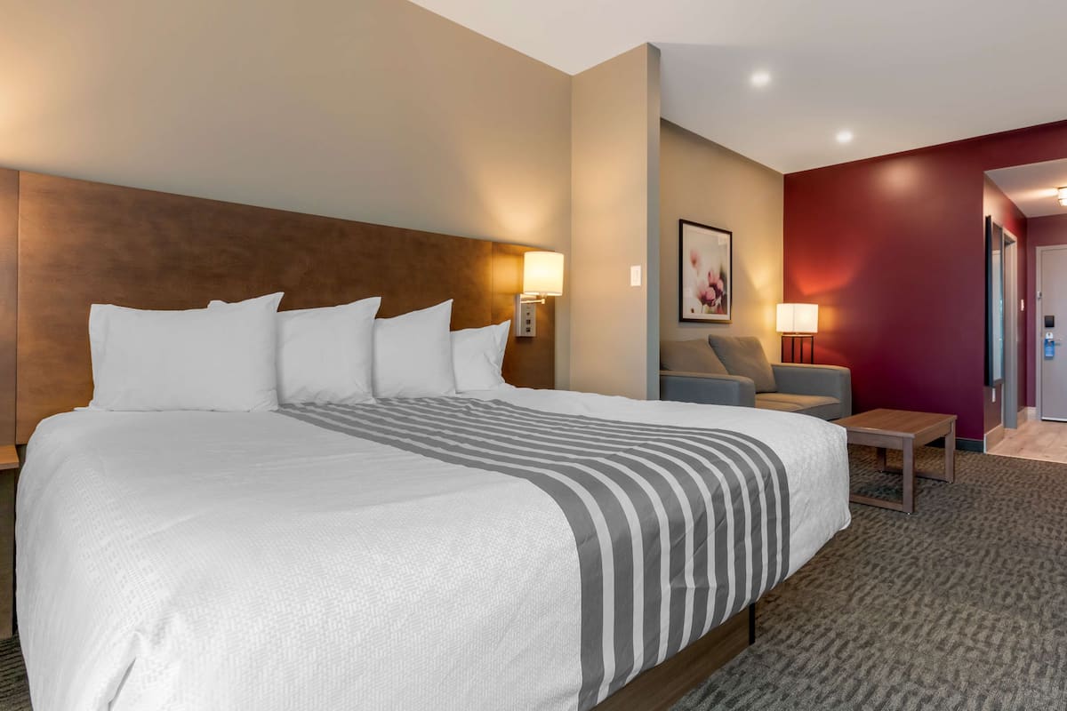 Suite, 1 cama de matrimonio grande, no fumadores (Shower Only;with Sofabed) | Escritorio y espacio para trabajar con un portátil