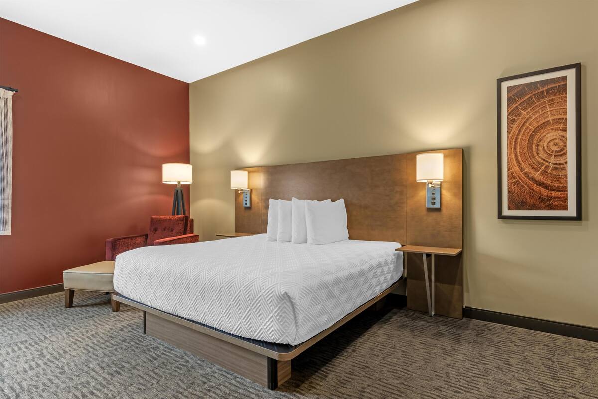 Standard Room, 1 King Bed, Accessible, Refrigerator & Microwave | Desk, laptop workspace, iron/ironing board, WiFi (free)