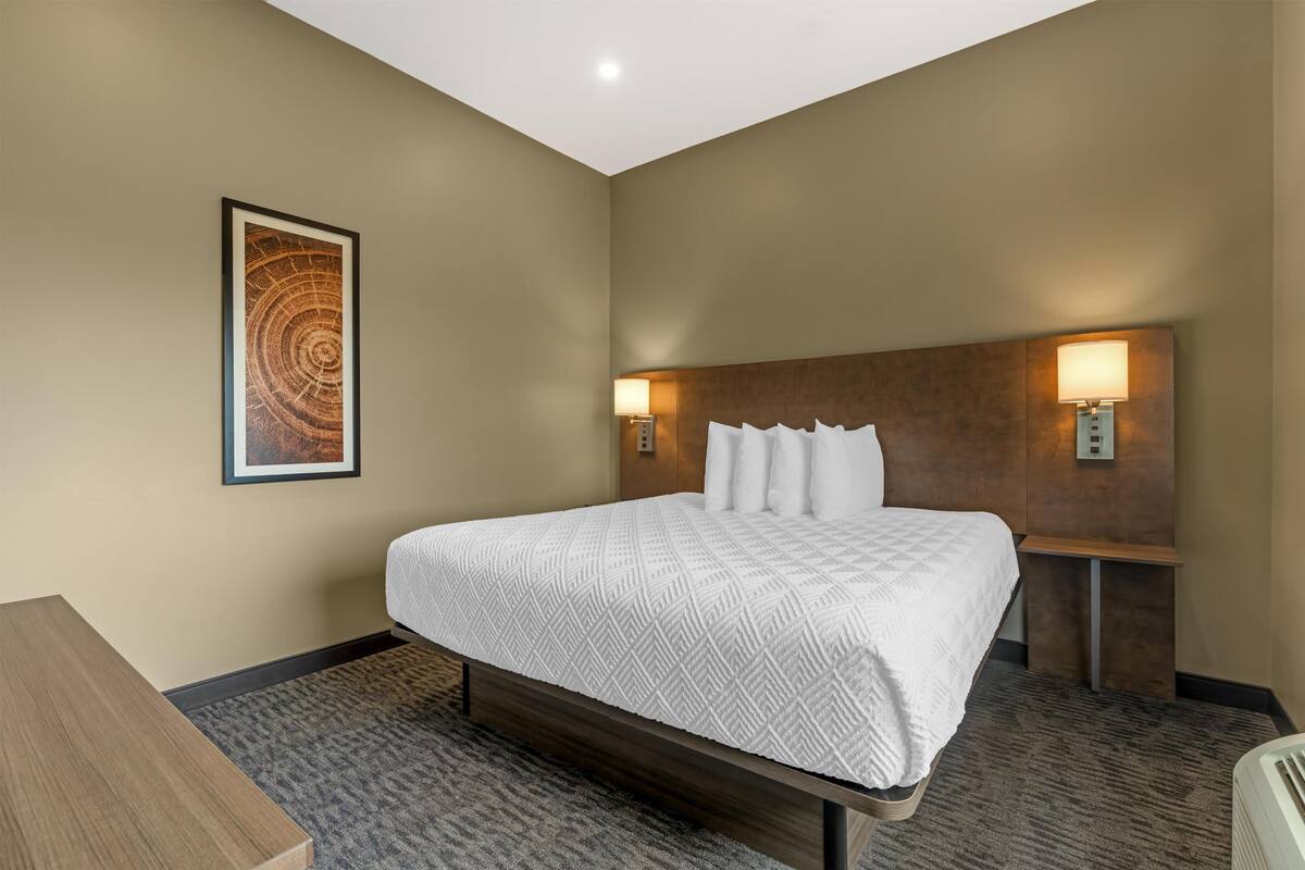 Suite, 1 King Bed, Non Smoking, Jetted Tub (Shower Only;with Sofabed) | Desk, laptop workspace, iron/ironing board, WiFi (free)