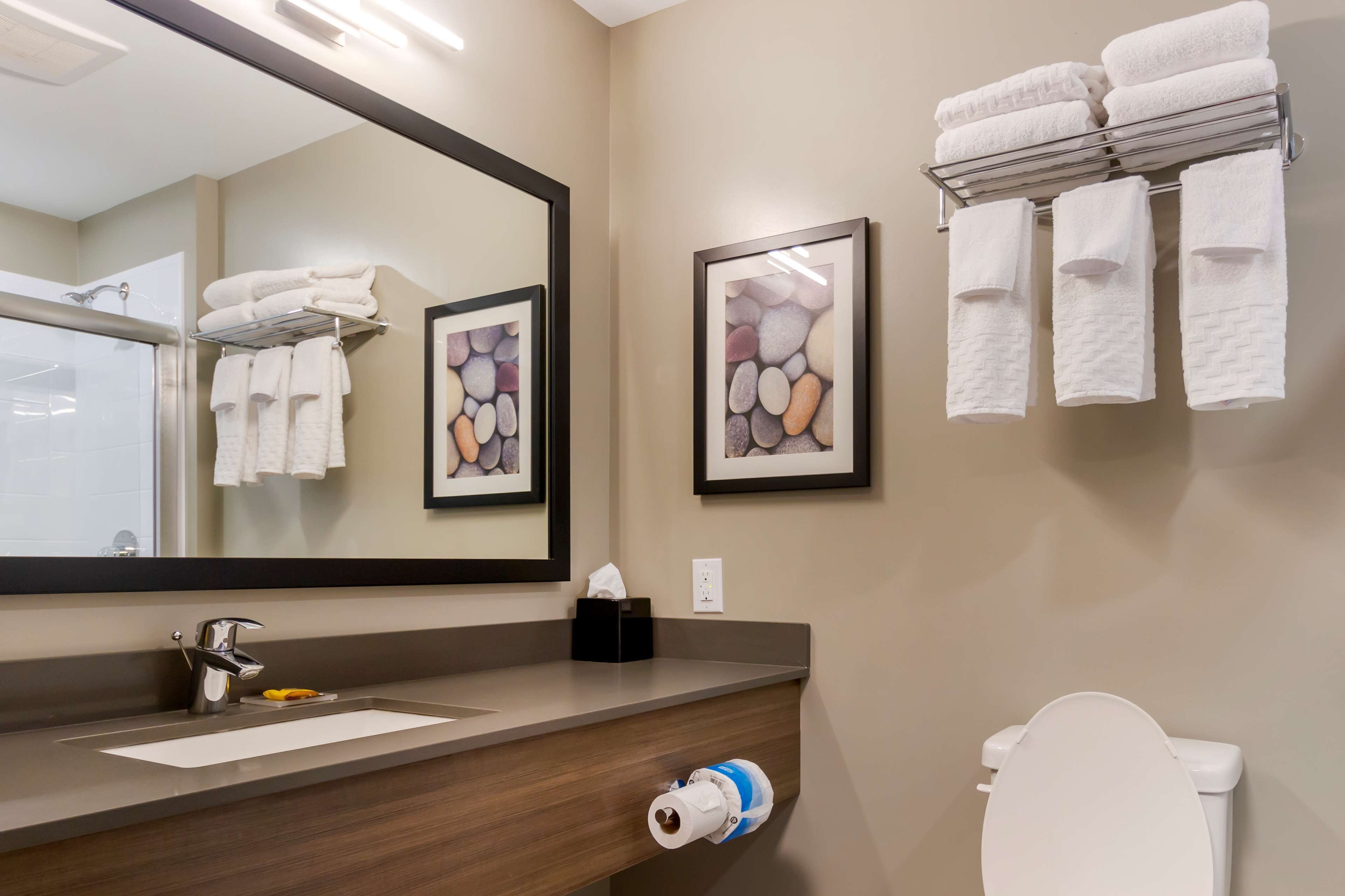 suite, 1 king bed, non smoking, refrigerator & microwave (shower only;with sofabed) | bathroom | hair dryer, towels