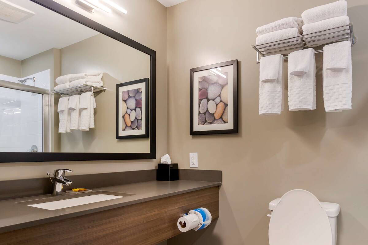 suite, 1 king bed, non smoking, refrigerator & microwave (shower only;with sofabed) | bathroom | hair dryer, towels