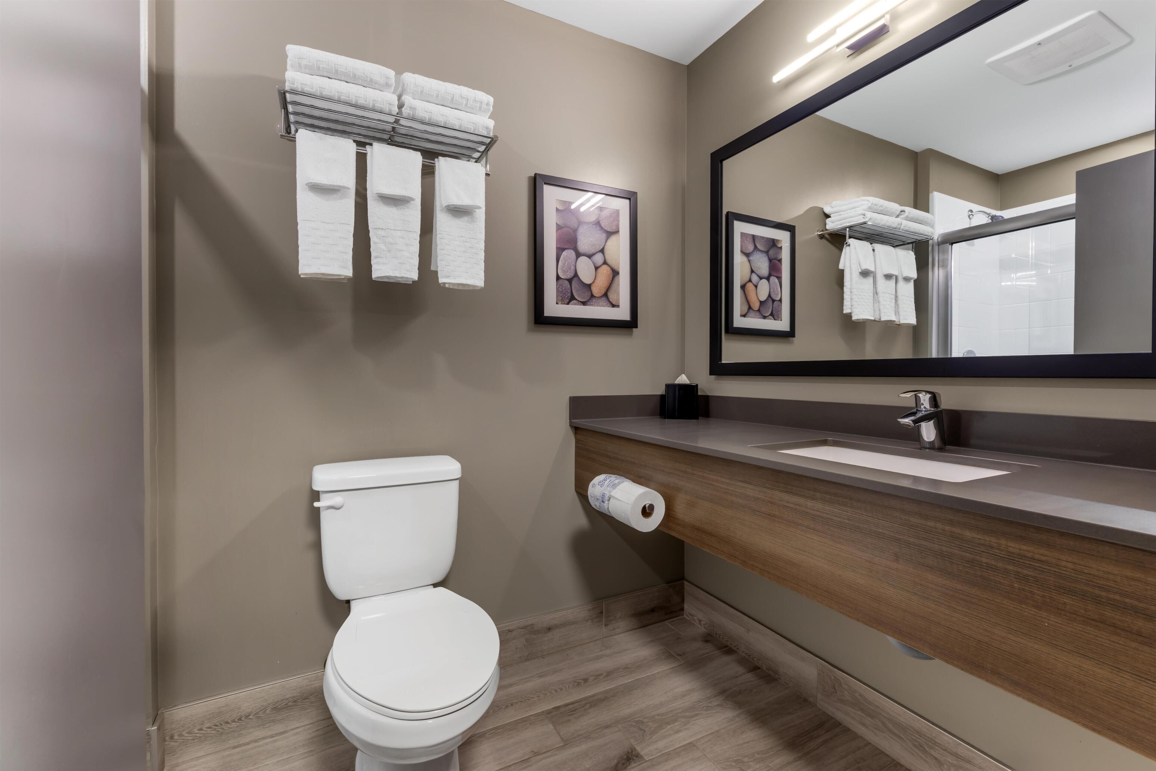 A modern bathroom with a white toilet, a wooden vanity, a large mirror, and two framed pictures on the wall.