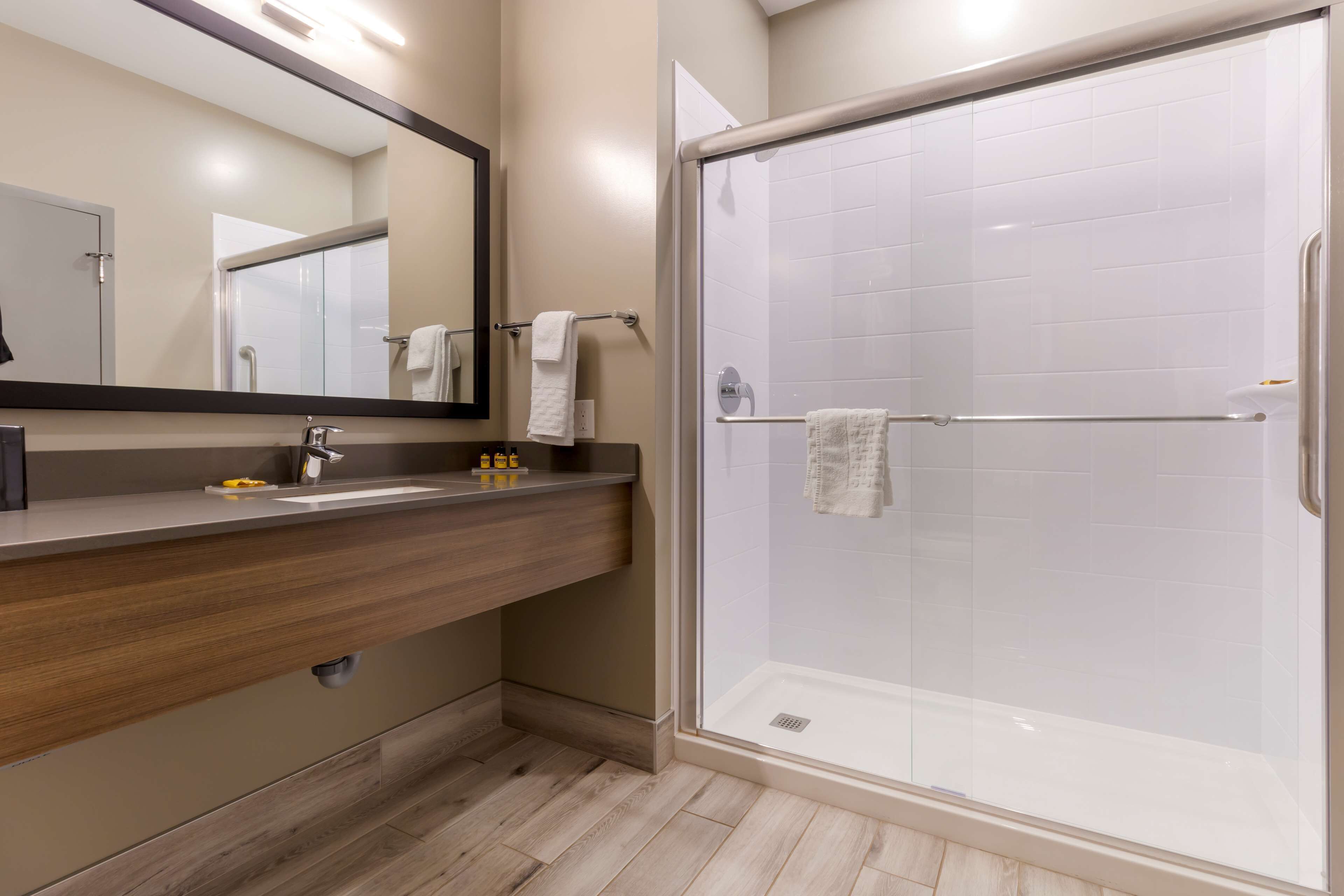 suite, 1 king bed, non smoking, jetted tub (shower only;with sofabed) | bathroom | hair dryer, towels