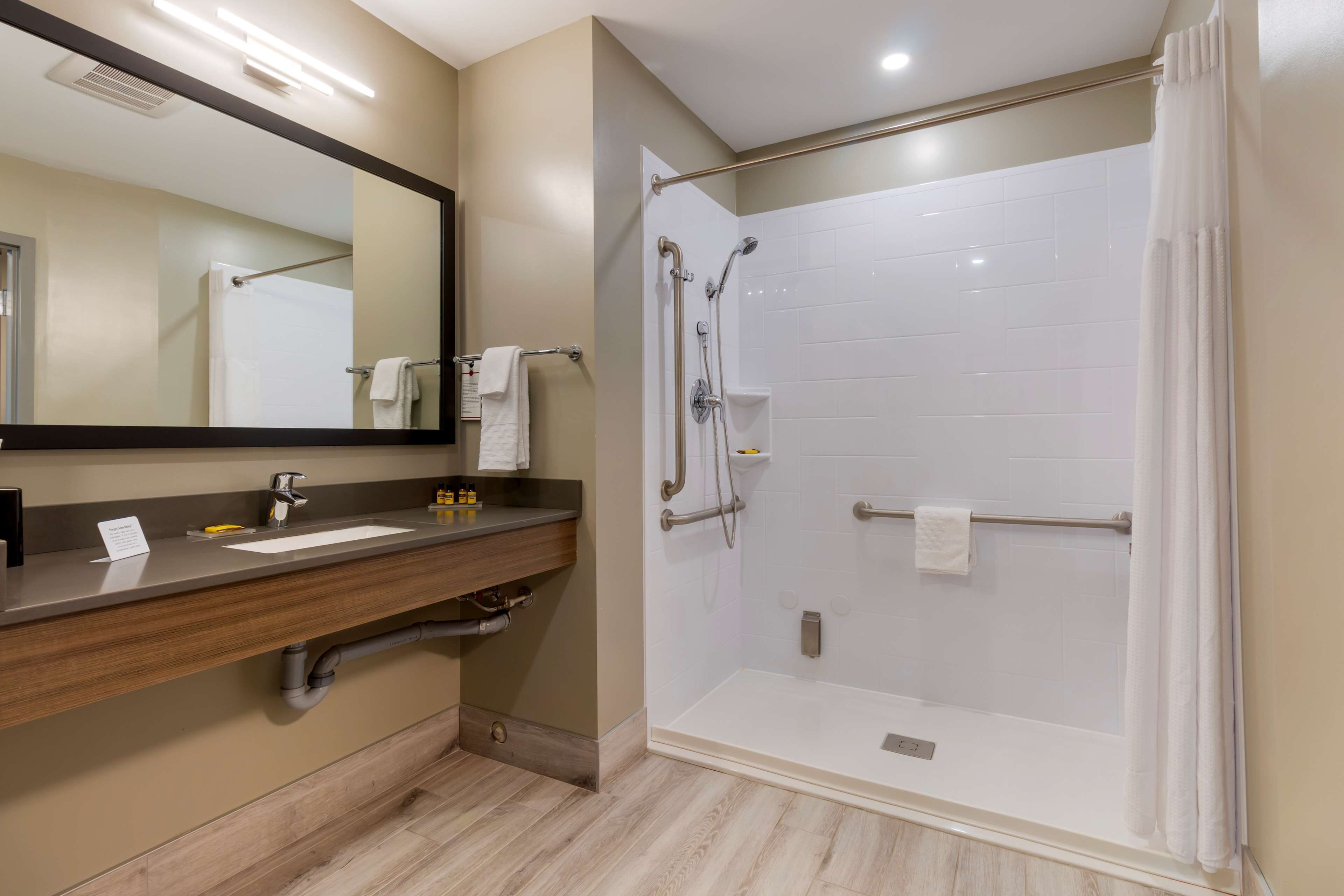 standard room, 1 king bed, accessible, refrigerator & microwave | bathroom | hair dryer, towels