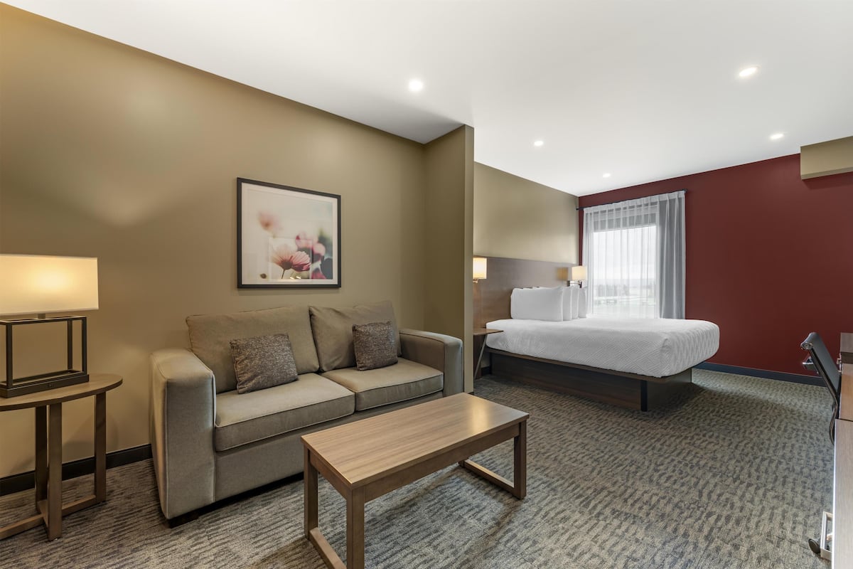 Suite, 1 King Bed, Non Smoking, Refrigerator & Microwave (Shower Only;with Sofabed) | Desk, laptop workspace, iron/ironing board, WiFi (free)