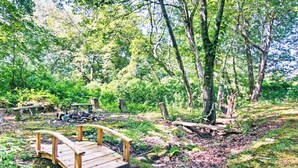 Un puente de madera en un área boscosa con un hogar cercano.