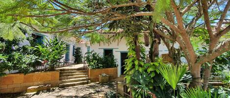 A courtyard with a staircase leading to a building, surrounded by lush greenery and plants.