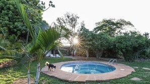 Une piscine entourée d’une végétation luxuriante, avec un chien à proximité.