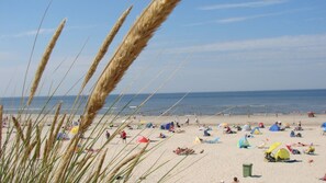A beach with people sunbathing and swimming, tents, and beach umbrellas.